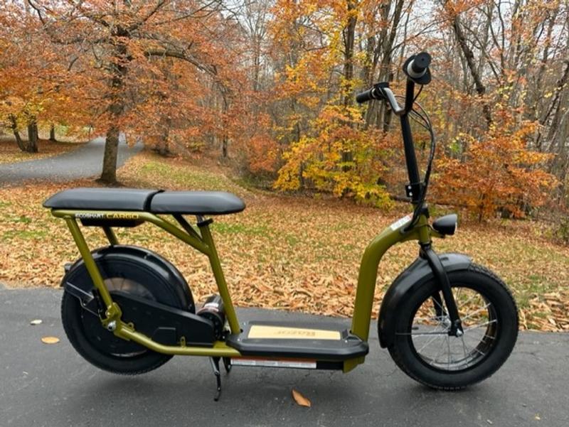 Razor EcoSmart Cargo review: Flying on a 2-seater electric scooter