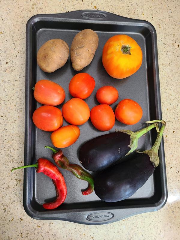 Tray works well at baking and other things