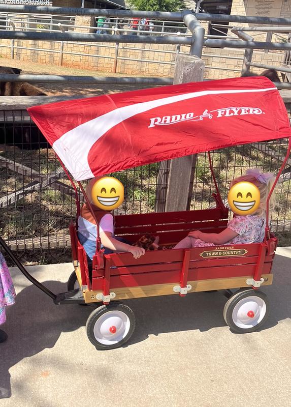 Wagon Canopy Radio Flyer