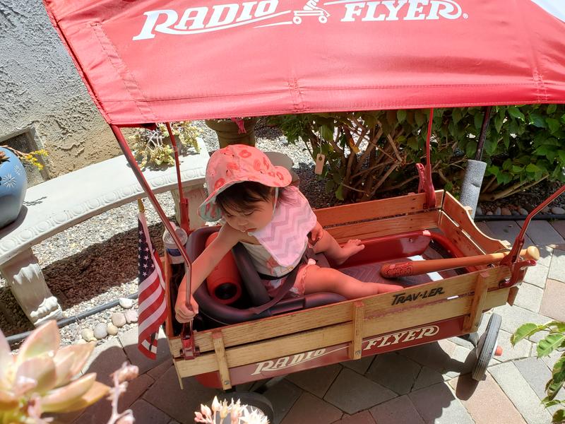 Radio Flyer Wagon Canopy & Protective Sun Shade