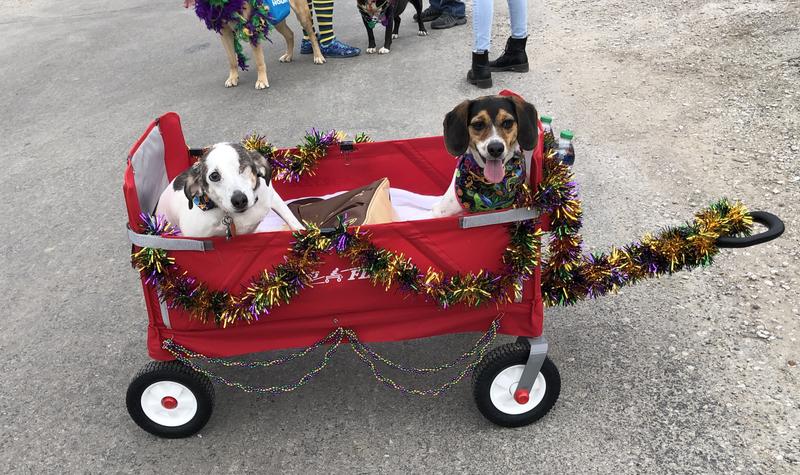 We love our Radio Flyer Wagon!