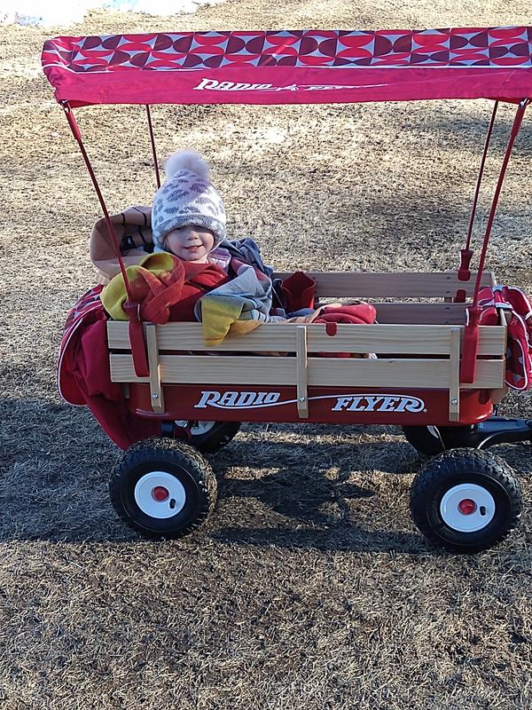 Custom Wagons Build a Wagon Radio Flyer