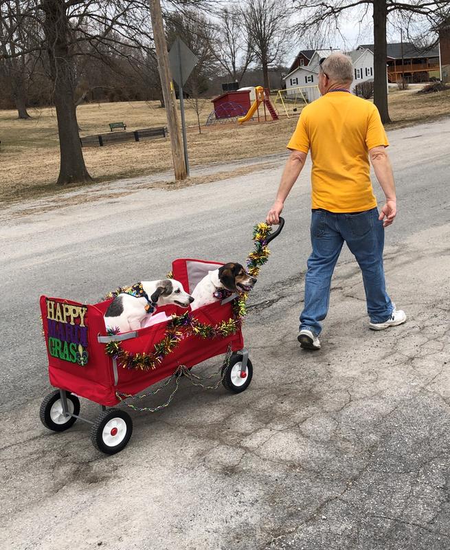 Dad and his furr kids enjoying a wagon ride!