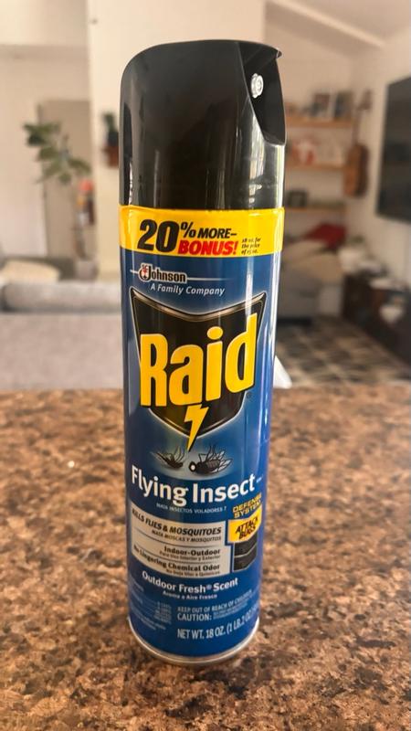Raid 1 Count Flying Insect Indoor/Outdoor Bug spray in the Insect ...