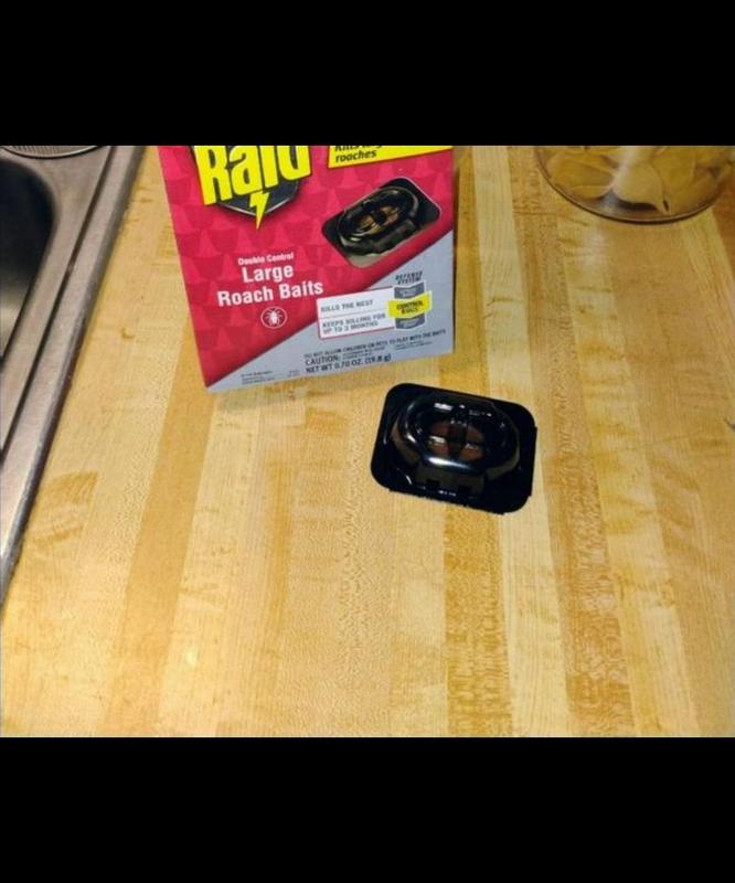 Raid 8-oz Double Control Roach Bait Station (8-Pack) at Lowes.com