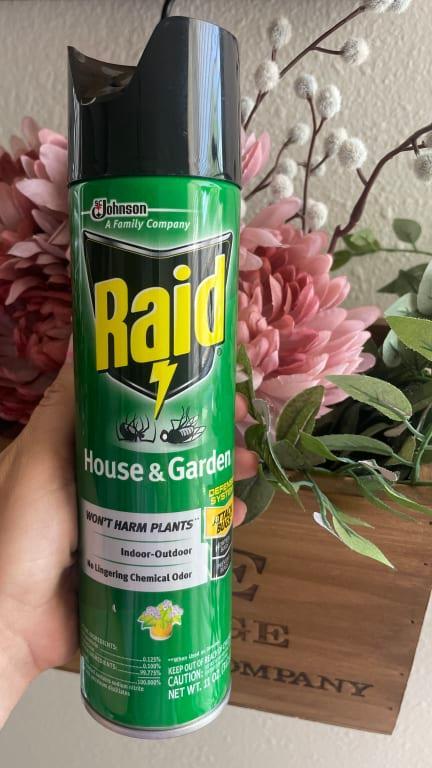 Photo - commentaire 1.