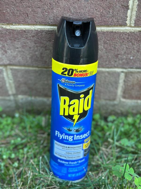 Raid 20-oz Flying Insect Bug Spray and Mosquito Control Insect Killer ...