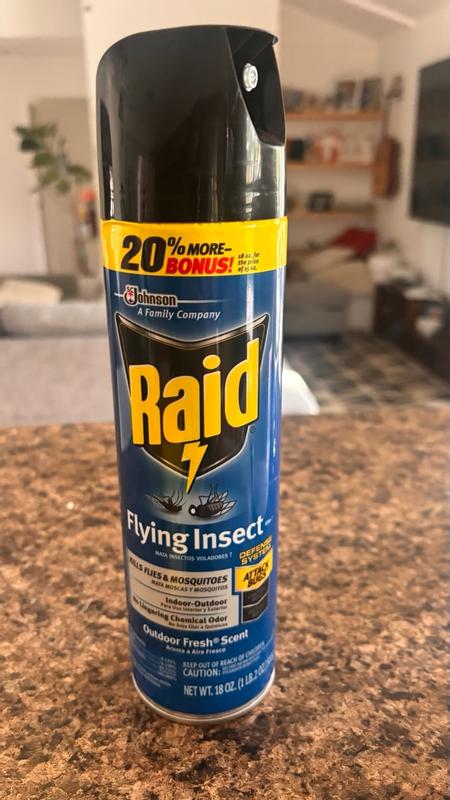 Raid 1 Count Flying Insect Indoor/Outdoor Bug spray in the Insect ...