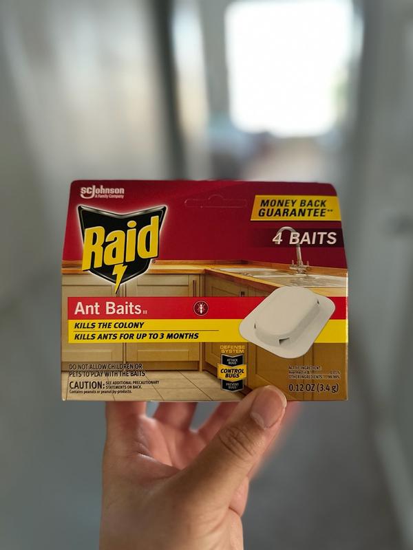 Raid Ant Baits III -oz Ant bait station 8 -Pack in the Exterior ...