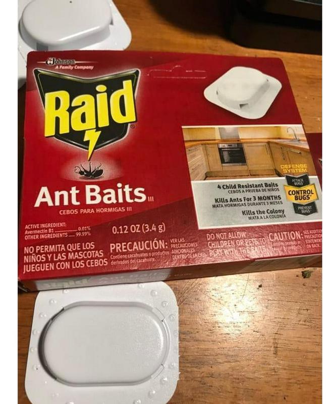 Raid Ant Baits III -oz Ant bait station 8 -Pack in the Exterior ...