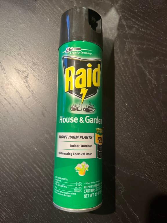 Photo - commentaire 3.