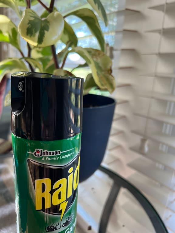 Photo - commentaire 2.