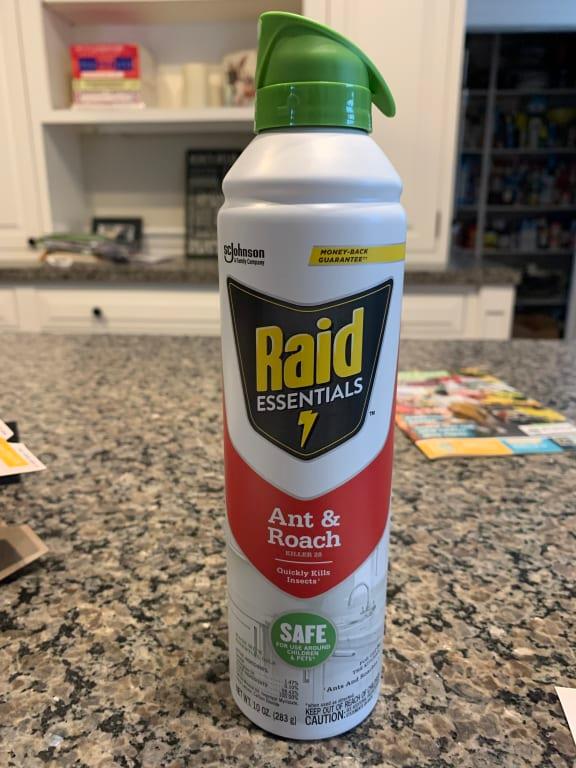 is raid ant killer safe for dogs