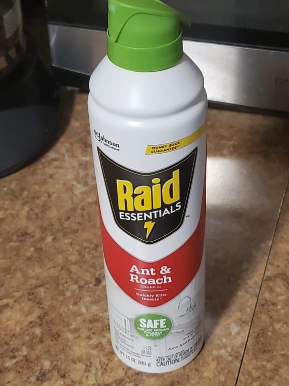 is raid ant killer safe for dogs