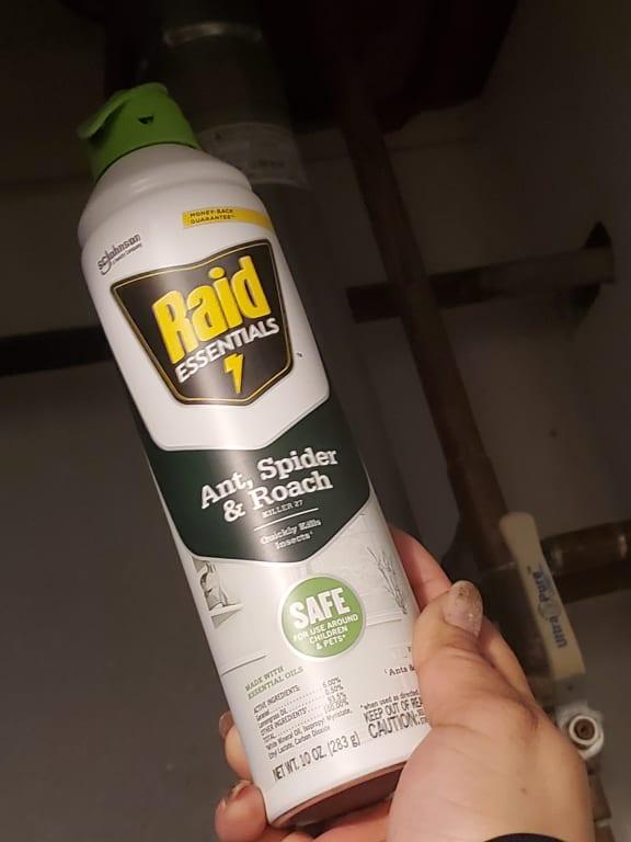 Raid 10 Essentials Ant, Spider, Roach Aerosol SCJ321026 The, 57 OFF