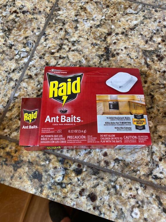 Raid Ant Killer Baits And Traps For Indoor Use, Child Resistant, 8 Count :  : Patio, Lawn & Garden