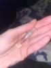 User submitted photo