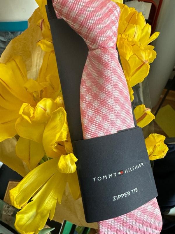 Moda Di Raza Clipon Boy Ties |Solid Colors Pre-Tied Kids Tie