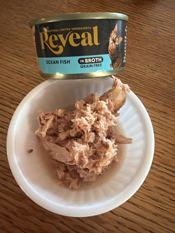 Reveal mt cats mew favorite food