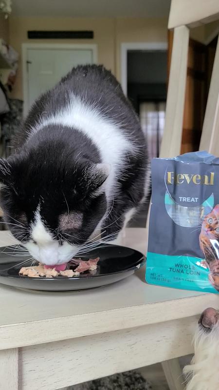 Tuna loin for cats clearance