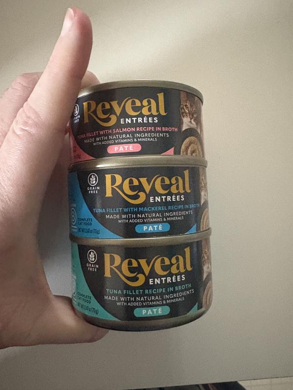 Food for the kitties