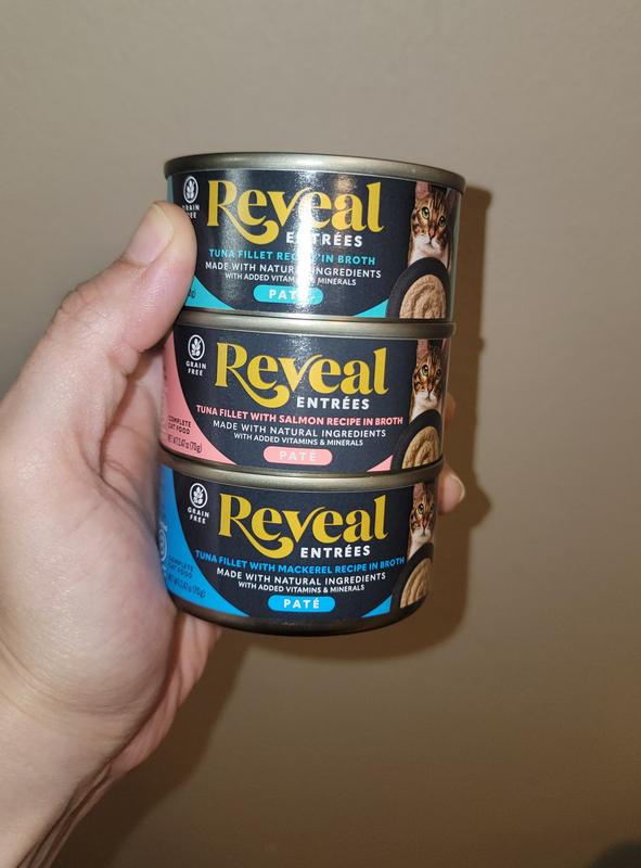 cat food