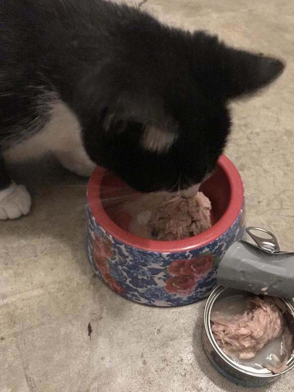 She ate the entire can!