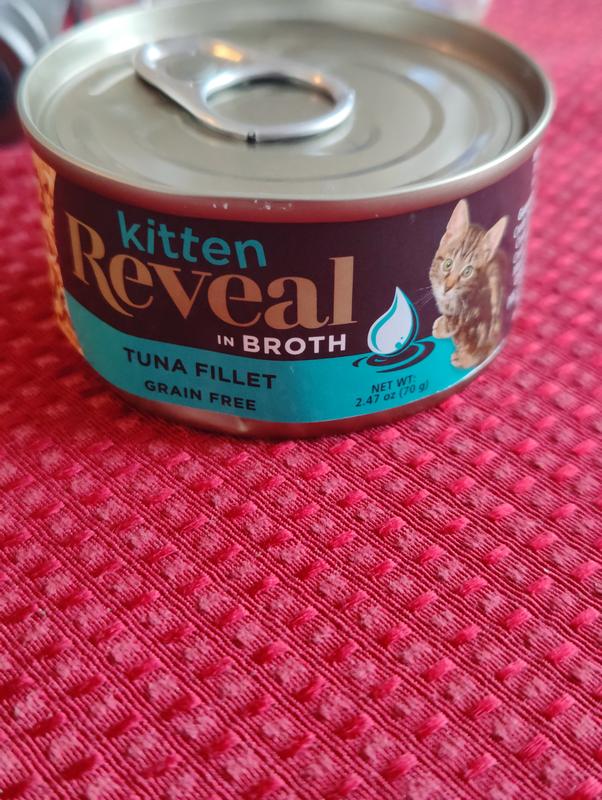 Tuna fillet
