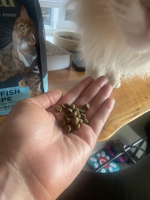 Tiny kibble
