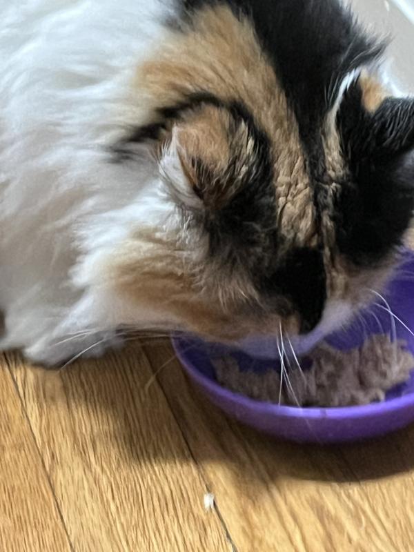 Daisy, my fish lover cannot get her fave out of her bowl.