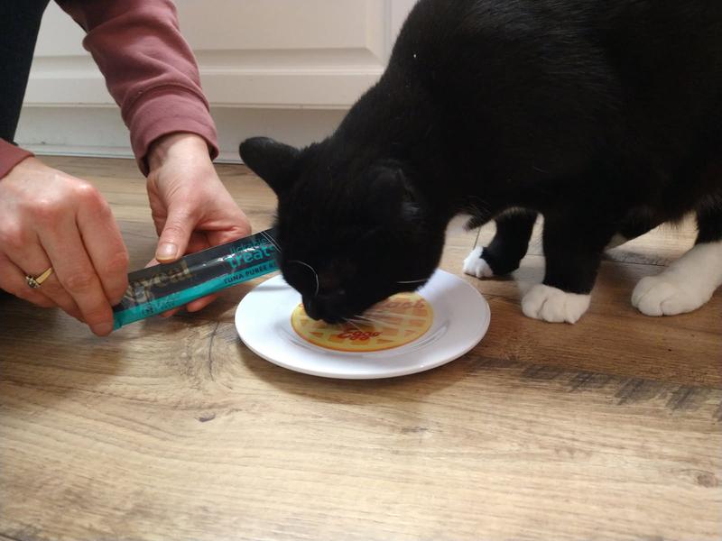 Cat enjoying Reveal Lickable Treats