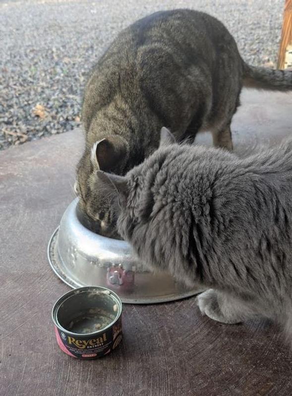Smells good