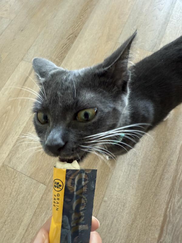 Lola enjoys her treats!