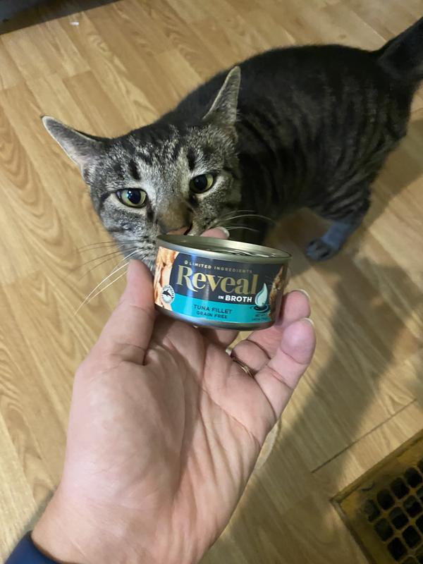 Tuna Fillet Limited Ingredient Canned Cat Food Reveal