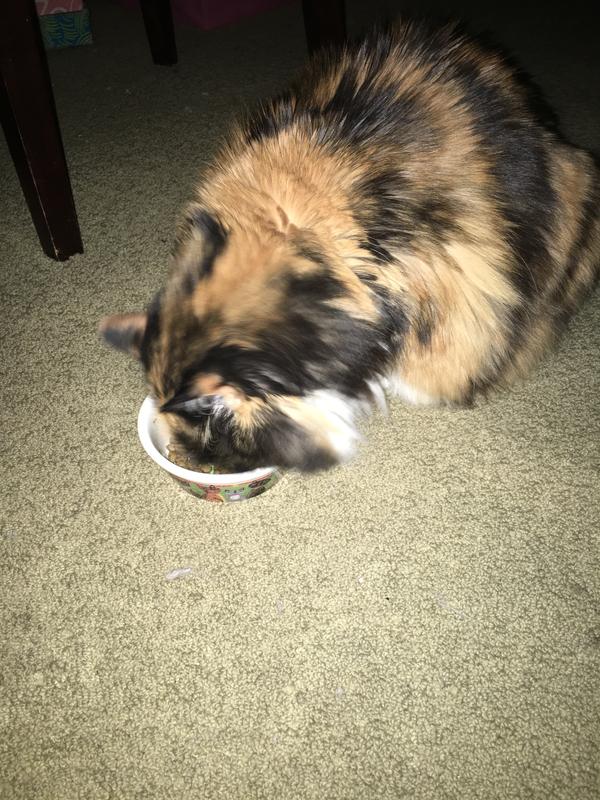 Hailey, come up for air! She loves it!
