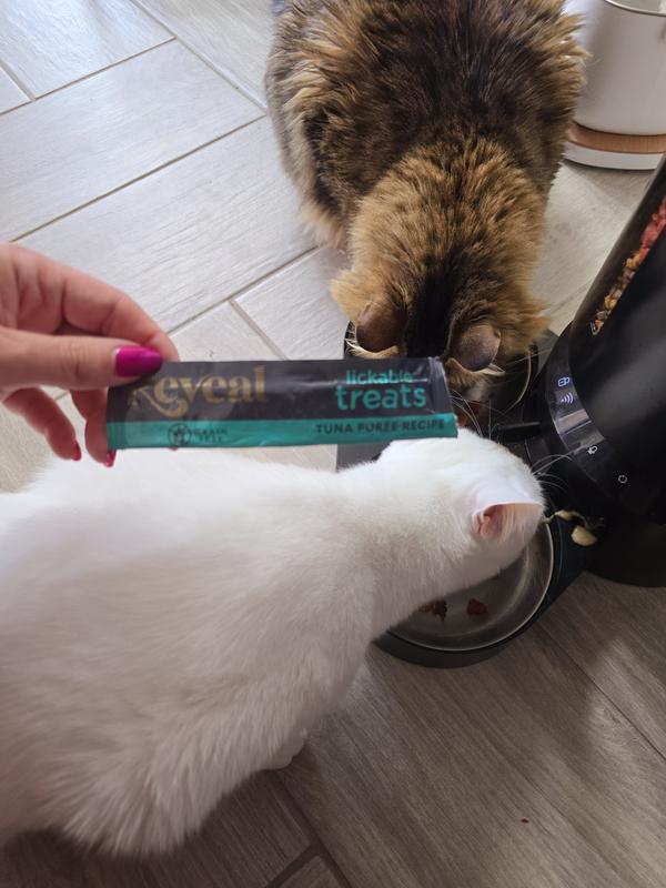 Both cats enjoying their treat