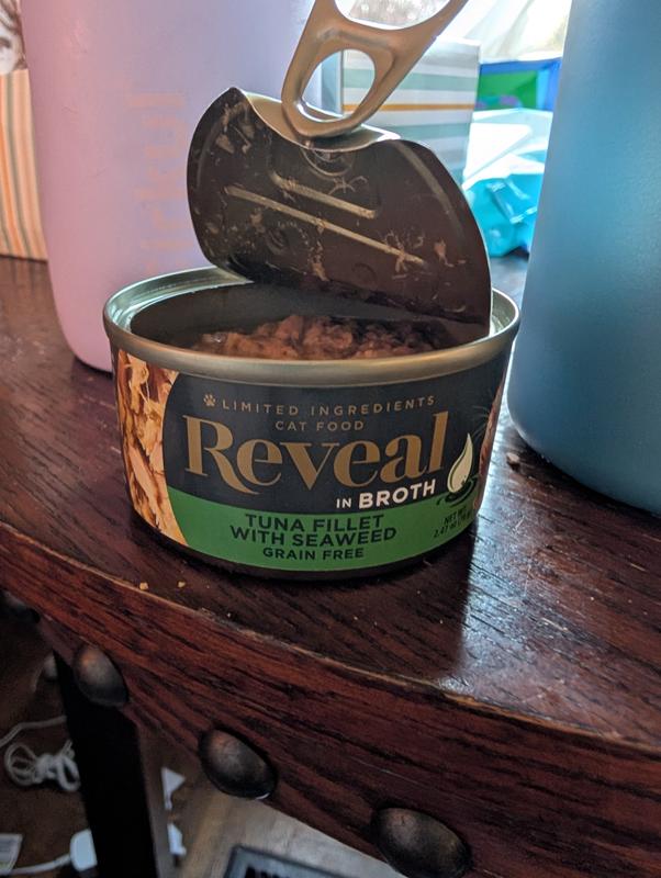 Cats loves it!