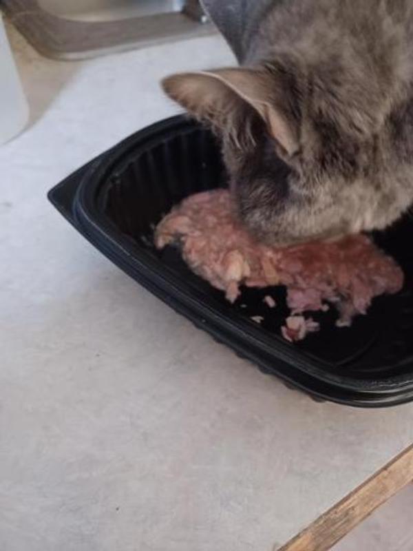 When first put down the food