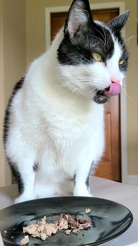 Josie approves! Reveal's Tuna Loin is lickin' good