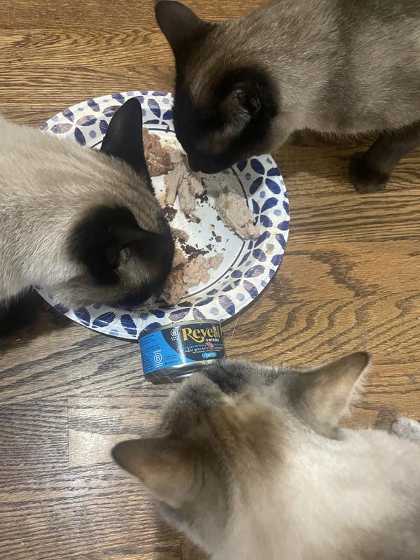 Yum