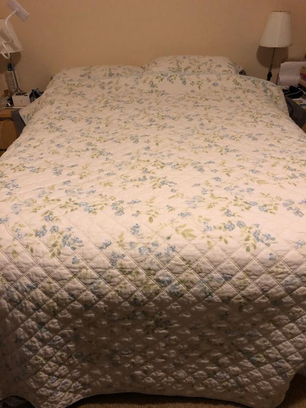 Laura Ashley Fawna 3-Piece Blue King Quilt Set in the Bedding Sets  department at