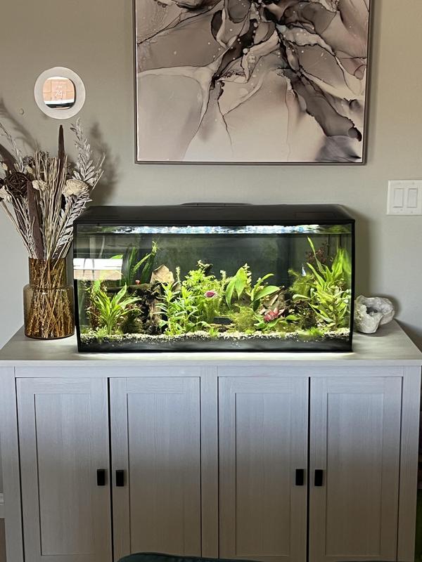 Absolutely LOVE this tank stand. So sturdy, practical, and pretty to look at. Very happy.