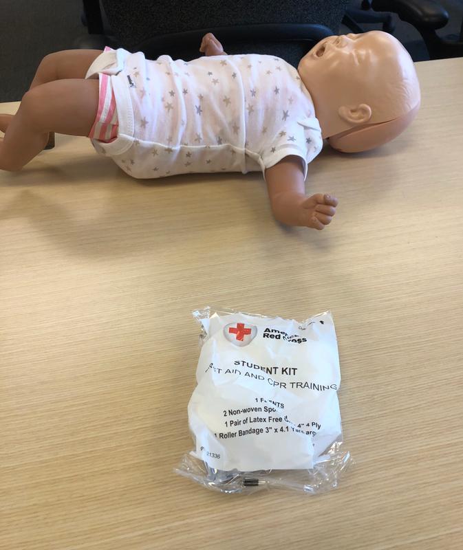 Adult and Pediatric First Aid/CPR/AED - Review Course (April 24th: 9am- 12pm )