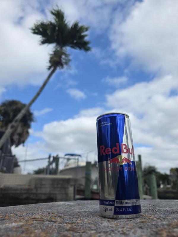 Red Bull Energy Drink 12-16 oz. - Gordon Restaurant Market