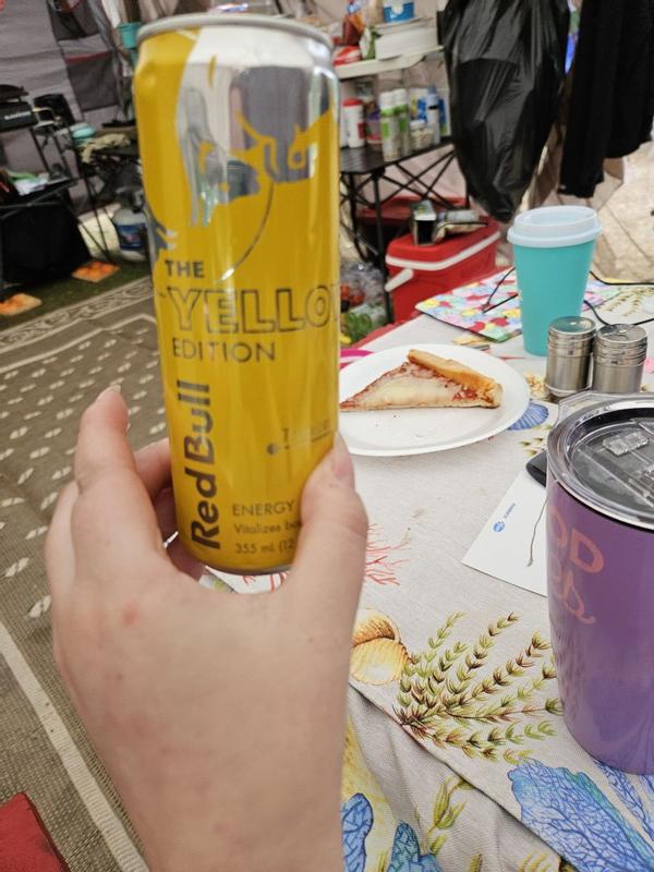 Red Bull 4 Pack 8.4 oz Yellow Edition - RB203755 | Blain's