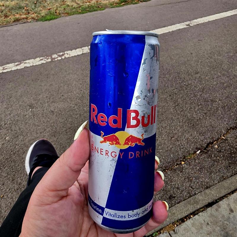 Red Bull RED BULL ENERGY DRINK 16OZ CAN RB33049 at Lowes.com