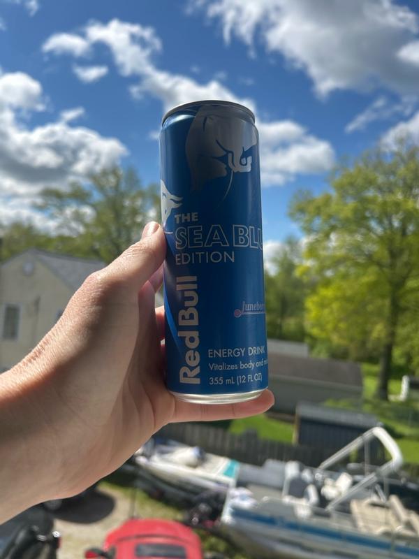 Red Bull Juneberry Summer Edition Energy Drink - 12 fl oz Can - High ...