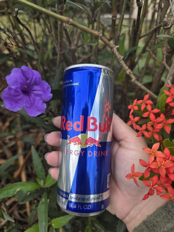 Buy Red Bull Energy Drink, 16 fl. oz. Can, 151mg Caffeine, Taurine