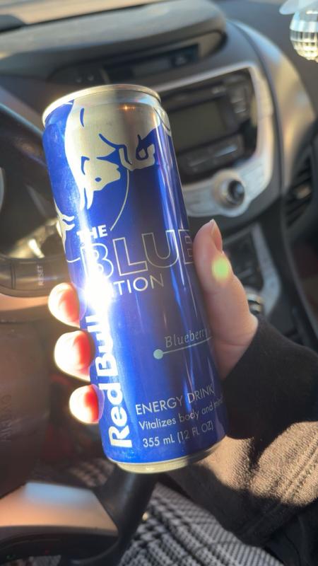 Red Bull RED BULL BLUE EDITION 12-FL OZ RB203752 at Lowes.com