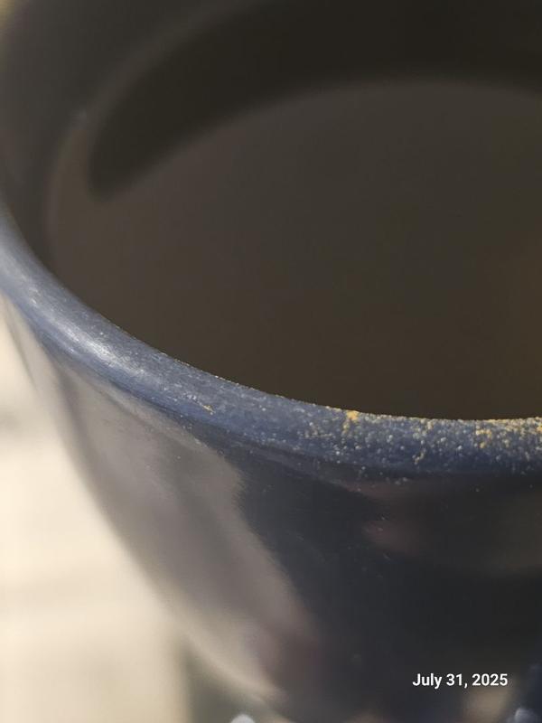 Photo submitted with review of product
